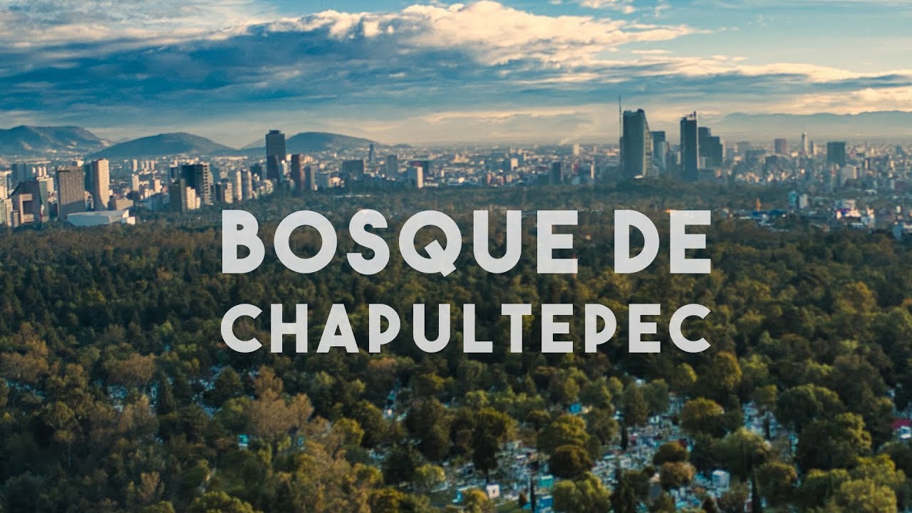 Chapultepec Park: The Green Oasis of Mexico City Just Minutes Away