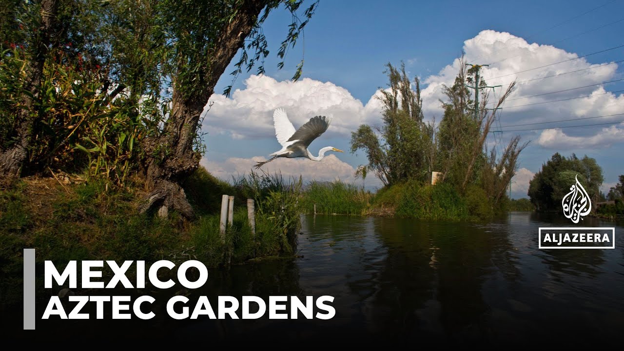 Mexico City’s Hidden Rooftop Gardens & Secret Terraces